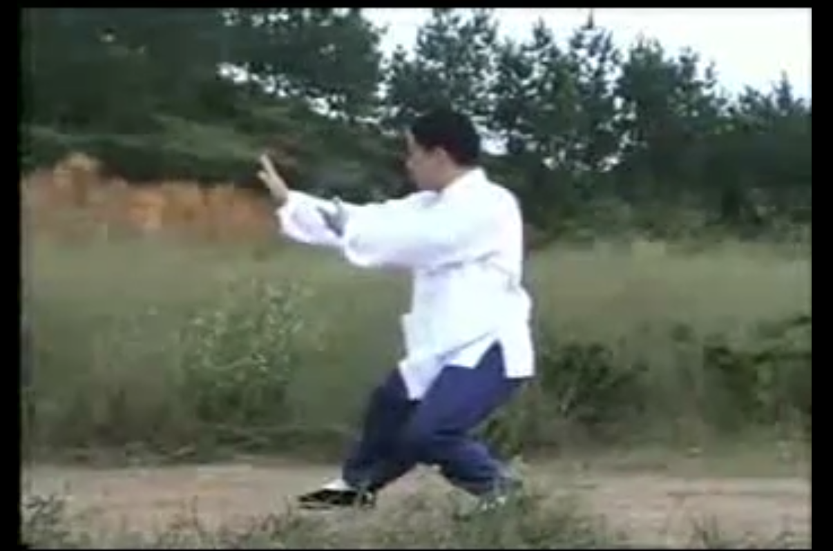 傅清泉85式杨氏太极拳视频教程